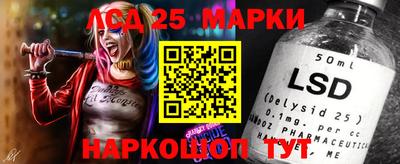 гидропоника Ирбит