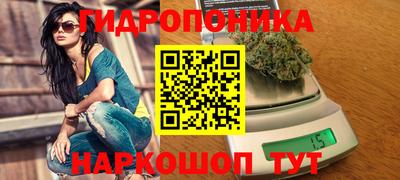 гидропоника Ирбит